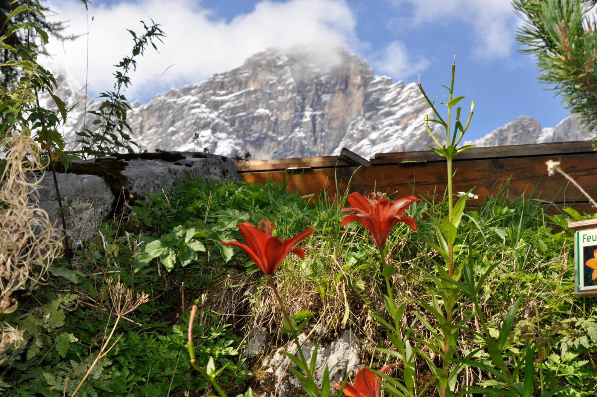 Gasthof Hunerkogel Hotel Ramsau am Dachstein Exterior photo